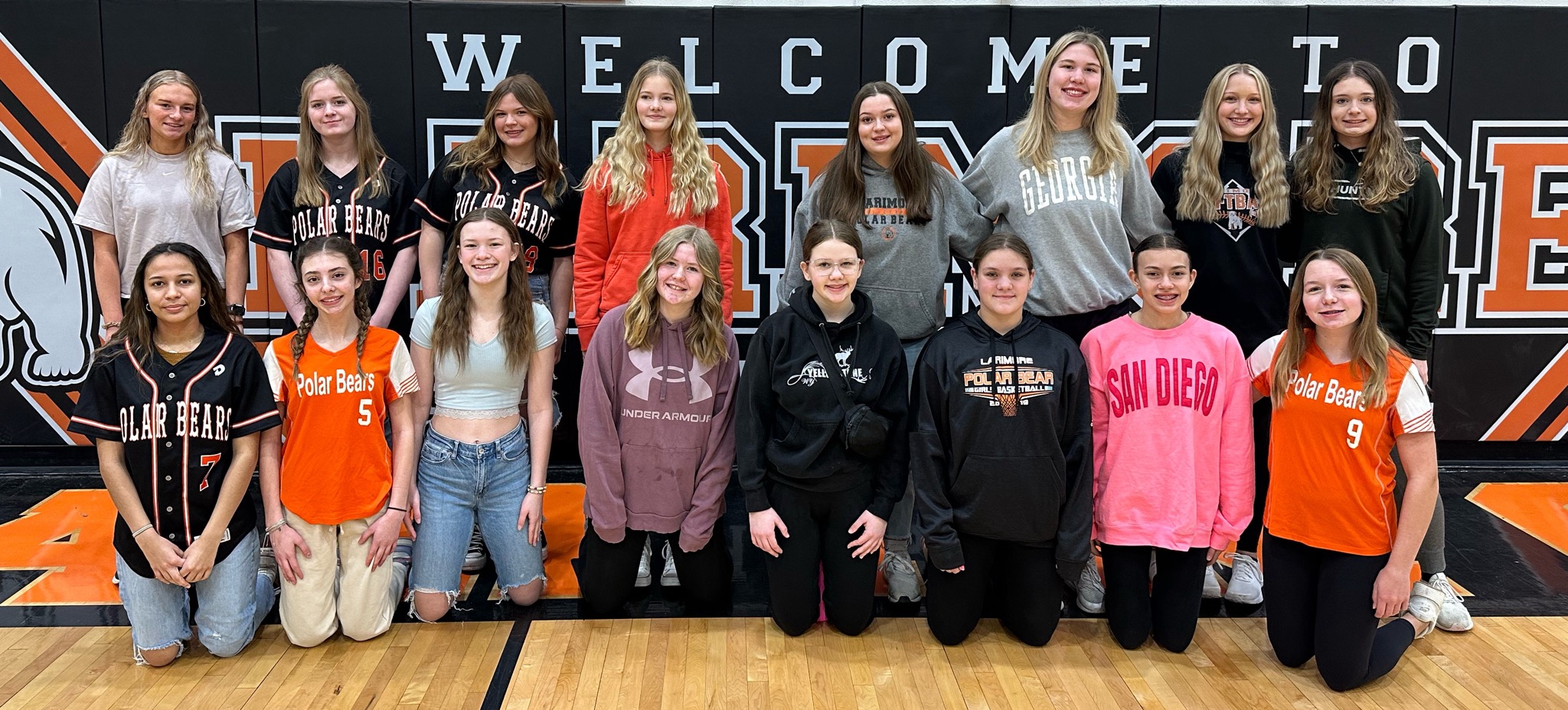 Larimore High School Girls' Softball